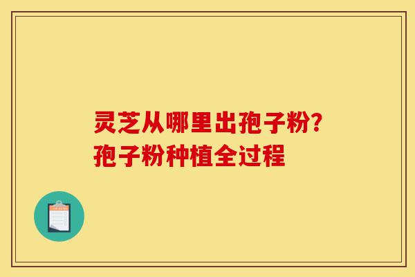 灵芝从哪里出孢子粉?孢子粉种植全过程-第1张图片-灵芝之家 灵芝从哪里出孢子粉?孢子粉种植全过程-第1张图片-灵芝之家