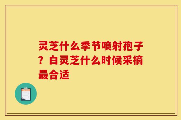 灵芝什么季节喷射孢子？白灵芝什么时候采摘最合适-第1张图片-灵芝之家