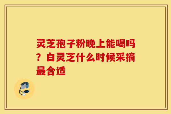 灵芝孢子粉晚上能喝吗？白灵芝什么时候采摘最合适-第1张图片-灵芝之家