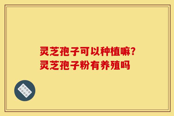灵芝孢子可以种植嘛?灵芝孢子粉有养殖吗-第1张图片-灵芝之家 灵芝孢子可以种植嘛?灵芝孢子粉有养殖吗-第1张图片-灵芝之家