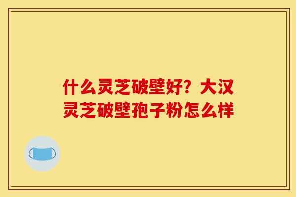什么灵芝破壁好?大汉灵芝破壁孢子粉怎么样-第1张图片-灵芝之家 什么灵芝破壁好?大汉灵芝破壁孢子粉怎么样-第1张图片-灵芝之家