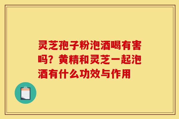 灵芝孢子粉泡酒喝有害吗？黄精和灵芝一起泡酒有什么功效与作用-第1张图片-灵芝之家