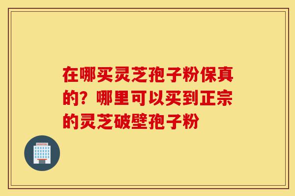 在哪买灵芝孢子粉保真的?哪里可以买到正宗的灵芝破壁孢子粉-第1张图片-灵芝之家 在哪买灵芝孢子粉保真的?哪里可以买到正宗的灵芝破壁孢子粉-第1张图片-灵芝之家