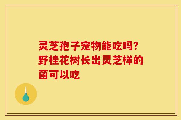 灵芝孢子宠物能吃吗?野桂花树长出灵芝样的菌可以吃-第1张图片-灵芝之家 灵芝孢子宠物能吃吗?野桂花树长出灵芝样的菌可以吃-第1张图片-灵芝之家