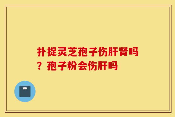 扑捉灵芝孢子伤肝肾吗？孢子粉会伤肝吗-第1张图片-灵芝之家