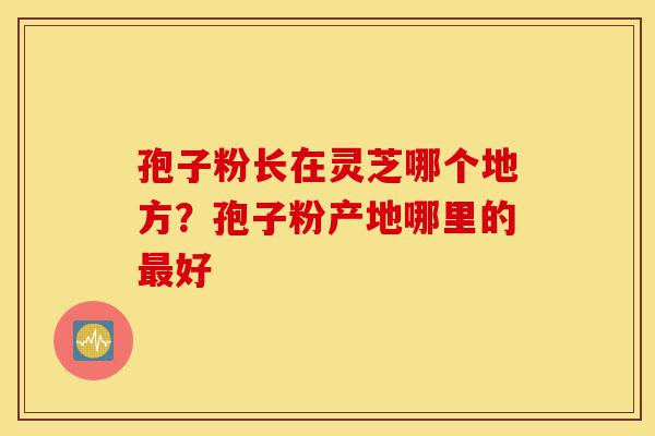 孢子粉长在灵芝哪个地方?孢子粉产地哪里的最好-第1张图片-灵芝之家 孢子粉长在灵芝哪个地方?孢子粉产地哪里的最好-第1张图片-灵芝之家