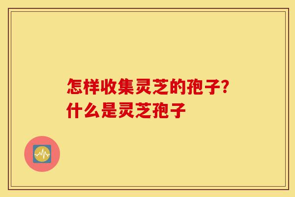 怎样收集灵芝的孢子?什么是灵芝孢子-第1张图片-灵芝之家 怎样收集灵芝的孢子?什么是灵芝孢子-第1张图片-灵芝之家