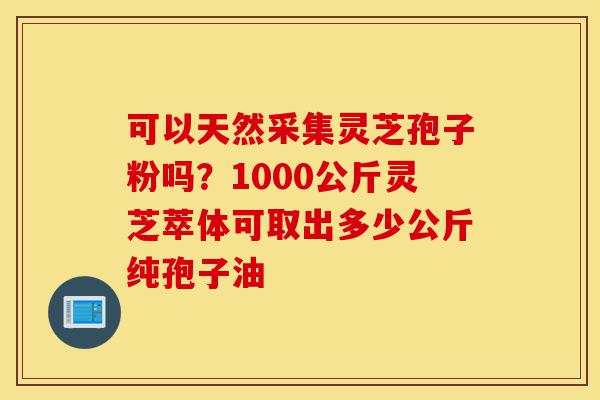 可以天然采集灵芝孢子粉吗?1000公斤灵芝萃体可取出多少公斤纯孢子油-第1张图片-灵芝之家 可以天然采集灵芝孢子粉吗?1000公斤灵芝萃体可取出多少公斤纯孢子油-第1张图片-灵芝之家