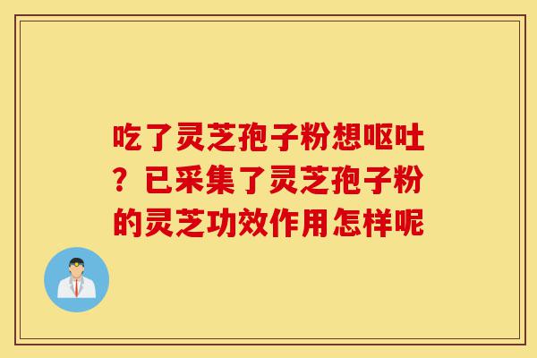 吃了灵芝孢子粉想呕吐?已采集了灵芝孢子粉的灵芝功效作用怎样呢-第1张图片-灵芝之家 吃了灵芝孢子粉想呕吐?已采集了灵芝孢子粉的灵芝功效作用怎样呢-第1张图片-灵芝之家