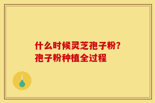 什么时候灵芝孢子粉?孢子粉种植全过程-第1张图片-灵芝之家 什么时候灵芝孢子粉?孢子粉种植全过程-第1张图片-灵芝之家