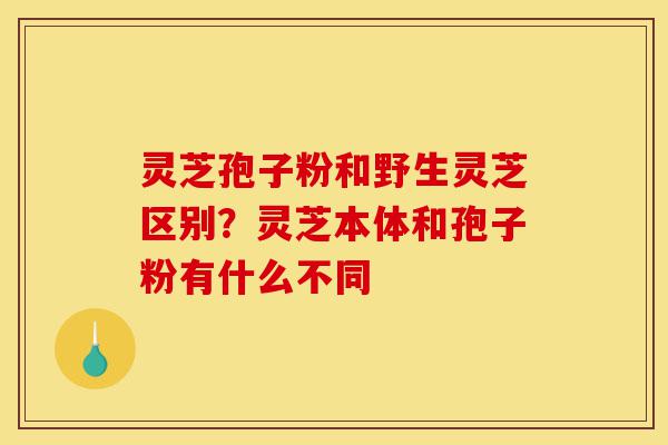 灵芝孢子粉和野生灵芝区别?灵芝本体和孢子粉有什么不同-第1张图片-灵芝之家 灵芝孢子粉和野生灵芝区别?灵芝本体和孢子粉有什么不同-第1张图片-灵芝之家
