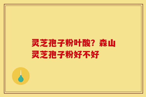 灵芝孢子粉叶酸？森山灵芝孢子粉好不好-第1张图片-灵芝之家