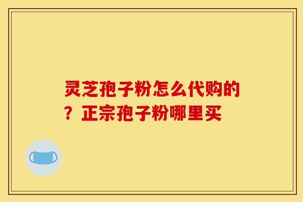 灵芝孢子粉怎么代购的？正宗孢子粉哪里买-第1张图片-灵芝之家
