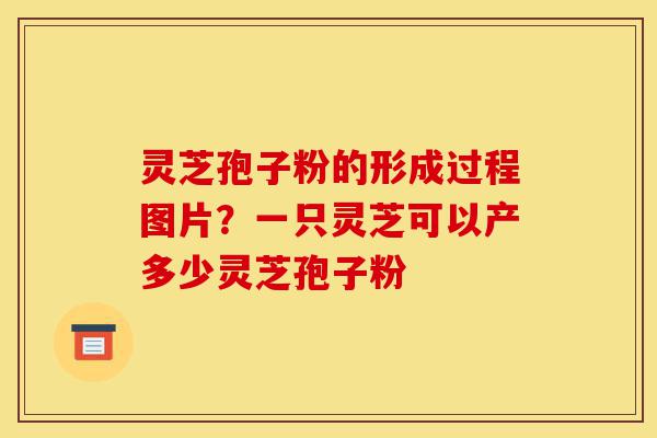 灵芝孢子粉的形成过程图片?一只灵芝可以产多少灵芝孢子粉-第1张图片-灵芝之家 灵芝孢子粉的形成过程图片?一只灵芝可以产多少灵芝孢子粉-第1张图片-灵芝之家