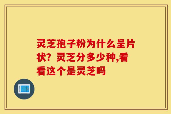 灵芝孢子粉为什么呈片状？灵芝分多少种,看看这个是灵芝吗-第1张图片-灵芝之家