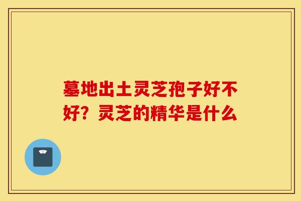 墓地出土灵芝孢子好不好？灵芝的精华是什么-第1张图片-灵芝之家