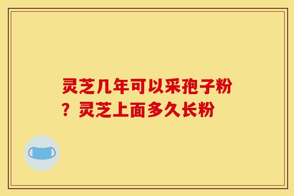灵芝几年可以采孢子粉?灵芝上面多久长粉-第1张图片-灵芝之家 灵芝几年可以采孢子粉?灵芝上面多久长粉-第1张图片-灵芝之家