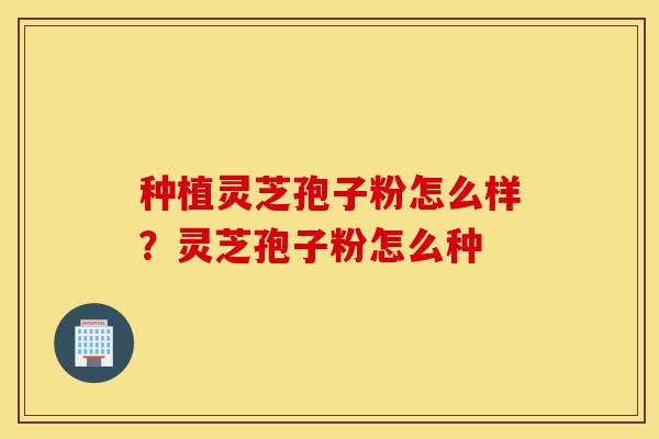 种植灵芝孢子粉怎么样？灵芝孢子粉怎么种-第1张图片-灵芝之家