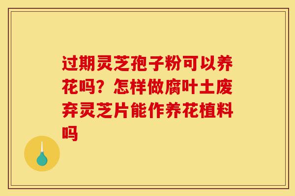 过期灵芝孢子粉可以养花吗?怎样做腐叶土废弃灵芝片能作养花植料吗-第1张图片-灵芝之家 过期灵芝孢子粉可以养花吗?怎样做腐叶土废弃灵芝片能作养花植料吗-第1张图片-灵芝之家