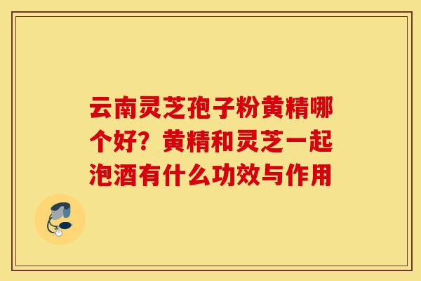 云南灵芝孢子粉黄精哪个好?黄精和灵芝一起泡酒有什么功效与作用-第1张图片-灵芝之家 云南灵芝孢子粉黄精哪个好?黄精和灵芝一起泡酒有什么功效与作用-第1张图片-灵芝之家
