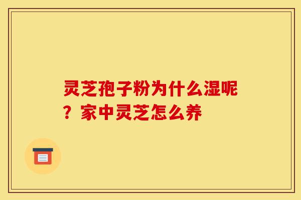 灵芝孢子粉为什么湿呢?家中灵芝怎么养-第1张图片-灵芝之家 灵芝孢子粉为什么湿呢?家中灵芝怎么养-第1张图片-灵芝之家