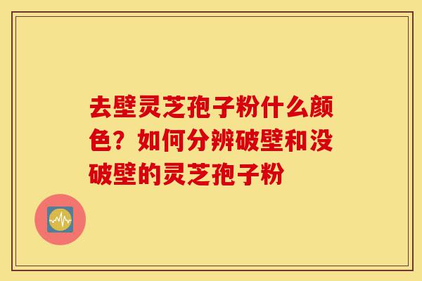 去壁灵芝孢子粉什么颜色?如何分辨破壁和没破壁的灵芝孢子粉-第1张图片-灵芝之家 去壁灵芝孢子粉什么颜色?如何分辨破壁和没破壁的灵芝孢子粉-第1张图片-灵芝之家