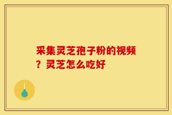 采集灵芝孢子粉的视频?灵芝怎么吃好-第1张图片-灵芝之家 采集灵芝孢子粉的视频?灵芝怎么吃好-第1张图片-灵芝之家