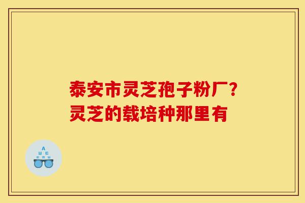 泰安市灵芝孢子粉厂?灵芝的载培种那里有-第1张图片-灵芝之家 泰安市灵芝孢子粉厂?灵芝的载培种那里有-第1张图片-灵芝之家