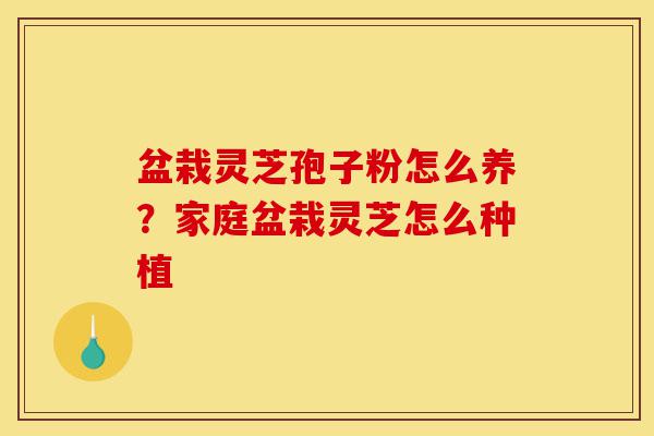 盆栽灵芝孢子粉怎么养?家庭盆栽灵芝怎么种植-第1张图片-灵芝之家 盆栽灵芝孢子粉怎么养?家庭盆栽灵芝怎么种植-第1张图片-灵芝之家