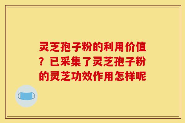 灵芝孢子粉的利用价值?已采集了灵芝孢子粉的灵芝功效作用怎样呢-第1张图片-灵芝之家 灵芝孢子粉的利用价值?已采集了灵芝孢子粉的灵芝功效作用怎样呢-第1张图片-灵芝之家