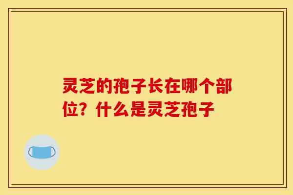 灵芝的孢子长在哪个部位?什么是灵芝孢子-第1张图片-灵芝之家 灵芝的孢子长在哪个部位?什么是灵芝孢子-第1张图片-灵芝之家