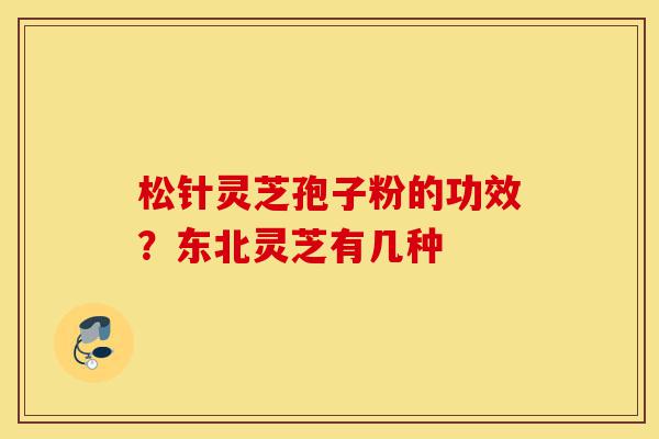 松针灵芝孢子粉的功效?东北灵芝有几种-第1张图片-灵芝之家 松针灵芝孢子粉的功效?东北灵芝有几种-第1张图片-灵芝之家