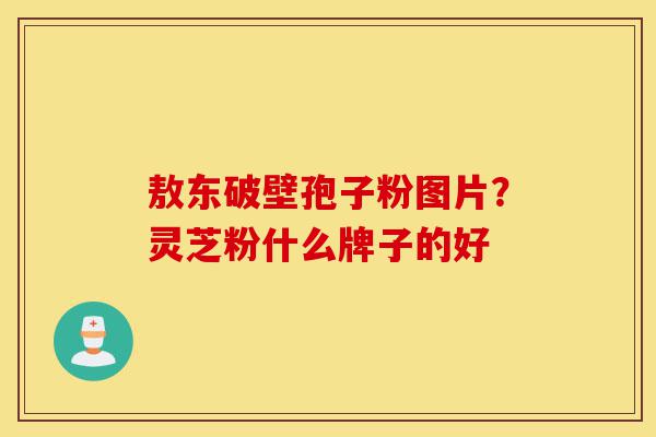 敖东破壁孢子粉图片?灵芝粉什么牌子的好-第1张图片-灵芝之家 敖东破壁孢子粉图片?灵芝粉什么牌子的好-第1张图片-灵芝之家