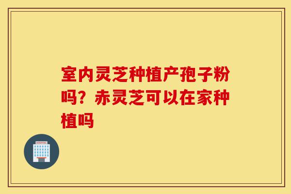 室内灵芝种植产孢子粉吗?赤灵芝可以在家种植吗-第1张图片-灵芝之家 室内灵芝种植产孢子粉吗?赤灵芝可以在家种植吗-第1张图片-灵芝之家
