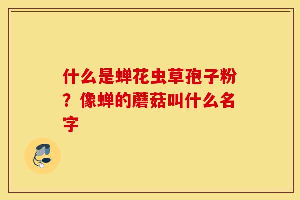什么是蝉花虫草孢子粉?像蝉的蘑菇叫什么名字-第1张图片-灵芝之家 什么是蝉花虫草孢子粉?像蝉的蘑菇叫什么名字-第1张图片-灵芝之家