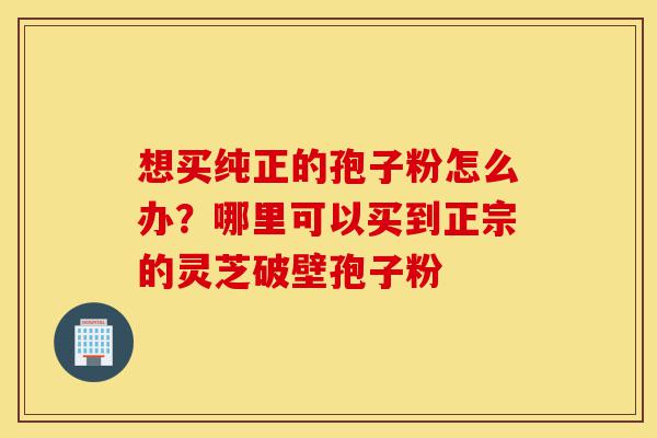 想买纯正的孢子粉怎么办?哪里可以买到正宗的灵芝破壁孢子粉-第1张图片-灵芝之家 想买纯正的孢子粉怎么办?哪里可以买到正宗的灵芝破壁孢子粉-第1张图片-灵芝之家