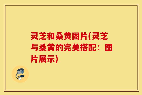 灵芝和桑黄图片(灵芝与桑黄的完美搭配:图片展示)-第1张图片-灵芝之家 灵芝和桑黄图片(灵芝与桑黄的完美搭配:图片展示)-第1张图片-灵芝之家