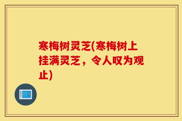 寒梅树灵芝(寒梅树上挂满灵芝,令人叹为观止)-第1张图片-灵芝之家 寒梅树灵芝(寒梅树上挂满灵芝,令人叹为观止)-第1张图片-灵芝之家