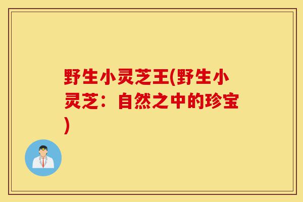野生小灵芝王(野生小灵芝:自然之中的珍宝)-第1张图片-灵芝之家 野生小灵芝王(野生小灵芝:自然之中的珍宝)-第1张图片-灵芝之家