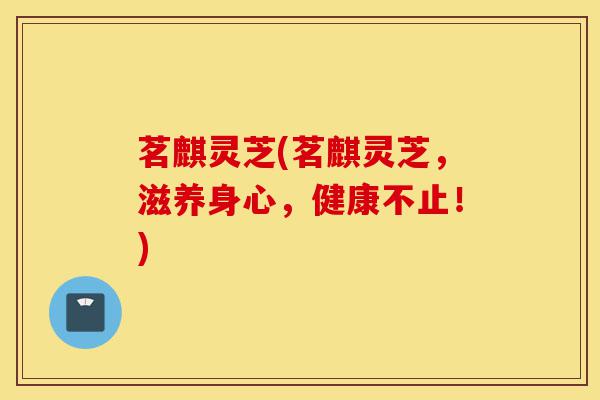 茗麒灵芝(茗麒灵芝,滋养身心,健康不止!)-第1张图片-灵芝之家 茗麒灵芝(茗麒灵芝,滋养身心,健康不止!)-第1张图片-灵芝之家