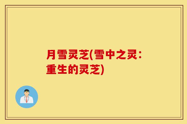 月雪灵芝(雪中之灵：重生的灵芝)-第1张图片-灵芝之家