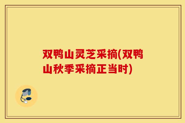 双鸭山灵芝采摘(双鸭山秋季采摘正当时)-第1张图片-灵芝之家 双鸭山灵芝采摘(双鸭山秋季采摘正当时)-第1张图片-灵芝之家
