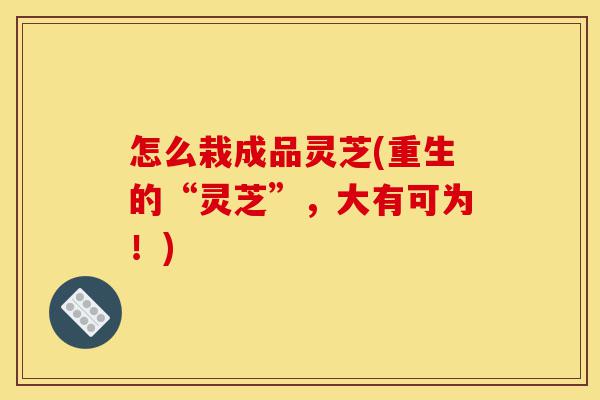 怎么栽成品灵芝(重生的“灵芝”,大有可为!)-第1张图片-灵芝之家 怎么栽成品灵芝(重生的“灵芝”,大有可为!)-第1张图片-灵芝之家