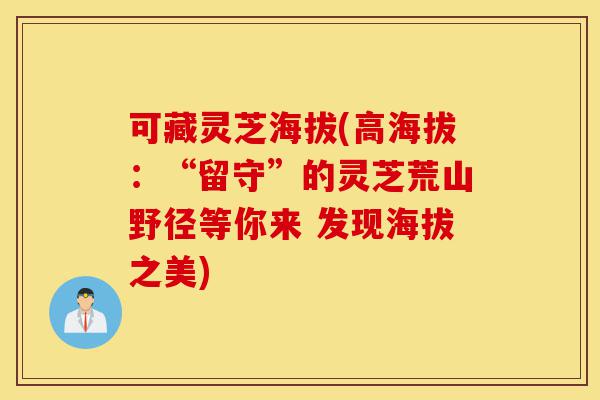 可藏灵芝海拔(高海拔:“留守”的灵芝荒山野径等你来 发现海拔之美)-第1张图片-灵芝之家 可藏灵芝海拔(高海拔:“留守”的灵芝荒山野径等你来 发现海拔之美)-第1张图片-灵芝之家
