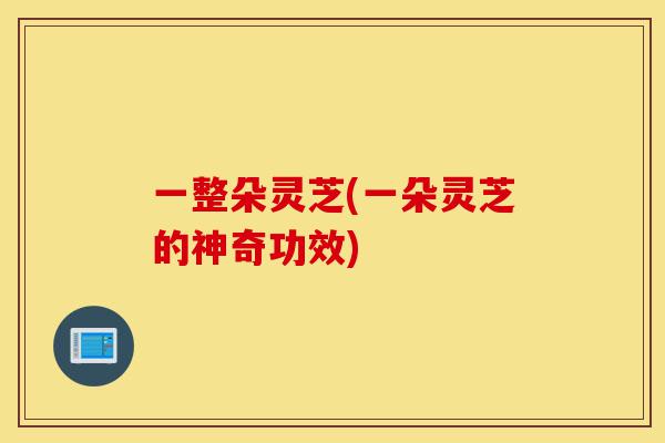 一整朵灵芝(一朵灵芝的神奇功效)-第1张图片-灵芝之家 一整朵灵芝(一朵灵芝的神奇功效)-第1张图片-灵芝之家
