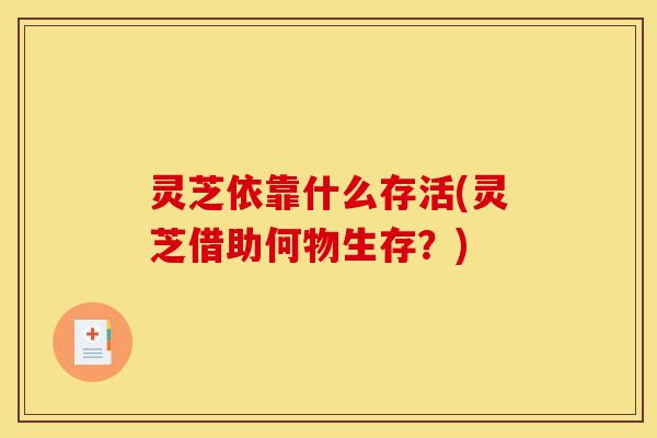 灵芝依靠什么存活(灵芝借助何物生存?)-第1张图片-灵芝之家 灵芝依靠什么存活(灵芝借助何物生存?)-第1张图片-灵芝之家
