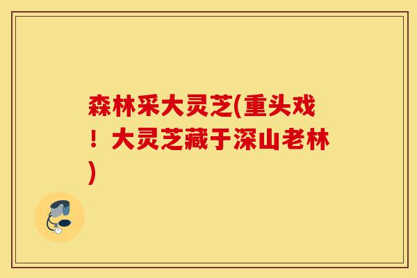 森林采大灵芝(重头戏!大灵芝藏于深山老林)-第1张图片-灵芝之家 森林采大灵芝(重头戏!大灵芝藏于深山老林)-第1张图片-灵芝之家