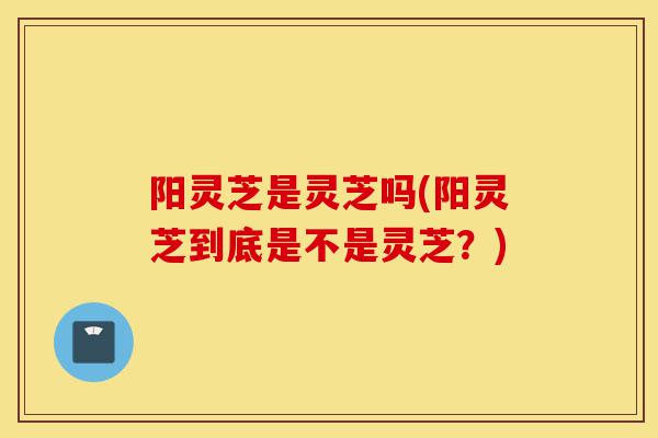 阳灵芝是灵芝吗(阳灵芝到底是不是灵芝？)-第1张图片-灵芝之家