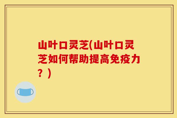 山叶口灵芝(山叶口灵芝如何帮助提高免疫力?)-第1张图片-灵芝之家 山叶口灵芝(山叶口灵芝如何帮助提高免疫力?)-第1张图片-灵芝之家