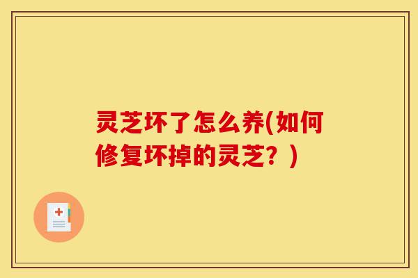 灵芝坏了怎么养(如何修复坏掉的灵芝?)-第1张图片-灵芝之家 灵芝坏了怎么养(如何修复坏掉的灵芝?)-第1张图片-灵芝之家